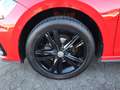 Volkswagen Polo Highline *R-Line* 1.0 TGI ACC/APP/KAMERA Rood - thumbnail 4