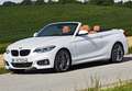 BMW 218 218dA Cabrio - thumbnail 49
