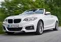 BMW 218 218dA Cabrio - thumbnail 16