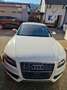 Audi S5 S5 tiptronic Blanco - thumbnail 1