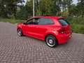 Volkswagen Polo 1.4-16V Trendline Style Pano Rood - thumbnail 4