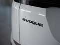 Land Rover Range Rover Evoque 2.0 R-Dynamic SE Autocarro 36 mesi garanzia Blanc - thumbnail 7