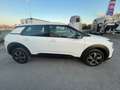 Citroen C4 Cactus 1.5 BlueHDi - 100 S\u0026S  Feel Business + GPS + Carplay Weiß - thumbnail 29