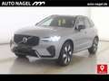 Volvo XC60 XC60 T6 Plus Dark 20"|AHK|LED|PILOT|LED|ALARM Grau - thumbnail 1