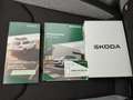 Skoda Kamiq 1.5 TSI Tour DSG #Virtual Cockpit #SH Schwarz - thumbnail 10
