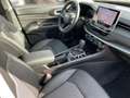 Jeep Compass 1.5 T4 FWD DCT7 Blau - thumbnail 13