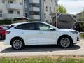 Ford Kuga Kuga 2,5 Duratec FHEV AWD ST-Line Aut. ST-Line Weiß - thumbnail 4