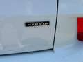 Ford Kuga Kuga 2,5 Duratec FHEV AWD ST-Line Aut. ST-Line Weiß - thumbnail 13