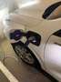 Ford Kuga Kuga 2,5 Duratec FHEV AWD ST-Line Aut. ST-Line Weiß - thumbnail 12
