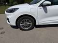 Ford Kuga Kuga 2,5 Duratec FHEV AWD ST-Line Aut. ST-Line Weiß - thumbnail 11