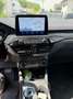 Ford Kuga Kuga 2,5 Duratec FHEV AWD ST-Line Aut. ST-Line Weiß - thumbnail 8