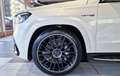 Mercedes-Benz GLS 63 AMG 4Matic Blanc - thumbnail 30