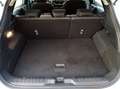 Ford Puma 1.0 ecoboost h Titanium s&s 125cv Bianco - thumbnail 10
