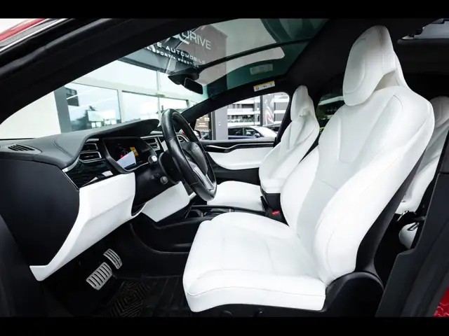 Tesla Model X view 10