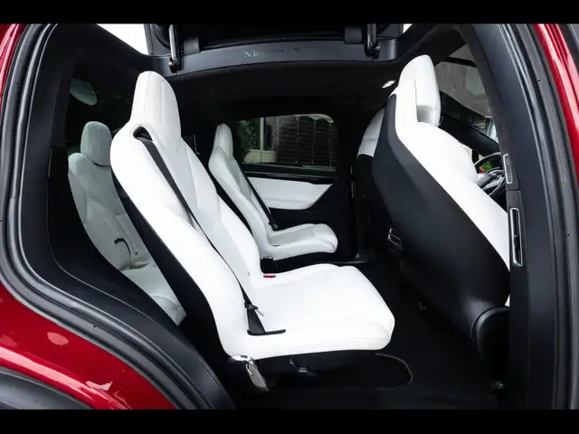 Tesla Model X view 11