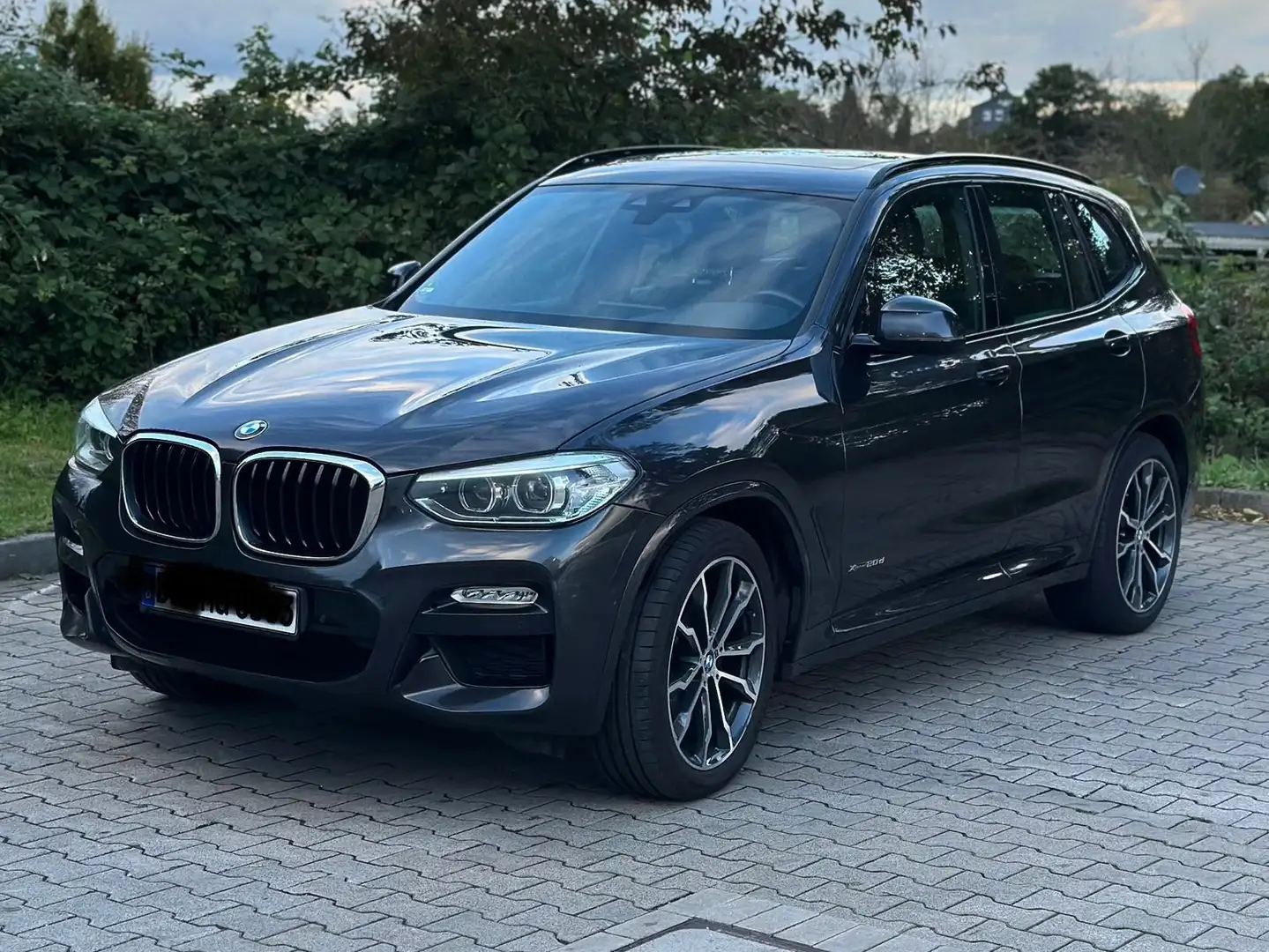 BMW X3 X3 xDrive20d Aut. Grau - 1