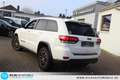 Jeep Grand Cherokee 3.0 CRD Trailhawk Trail Rated Led Blanco - thumbnail 19