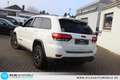 Jeep Grand Cherokee 3.0 CRD Trailhawk Trail Rated Led Blanco - thumbnail 22