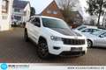 Jeep Grand Cherokee 3.0 CRD Trailhawk Trail Rated Led Blanco - thumbnail 25