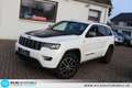 Jeep Grand Cherokee 3.0 CRD Trailhawk Trail Rated Led Blanco - thumbnail 17
