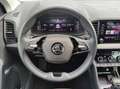 Skoda Karoq 1.5 TSI Selection DSG LED Navi Silber - thumbnail 9