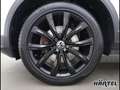 Volkswagen T-Roc SPORT BLACK STYLE 4MOTION 2.0 TSI DSG Navi Weiß - thumbnail 15