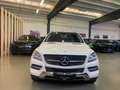 Mercedes-Benz ML 250 ML 250 bt Sport 4matic auto Blanco - thumbnail 3