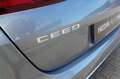 Kia Ceed SW / cee'd SW Sportswagon 1.5 T-GDi GT-PlusLine | Automaat | Pan Grau - thumbnail 4