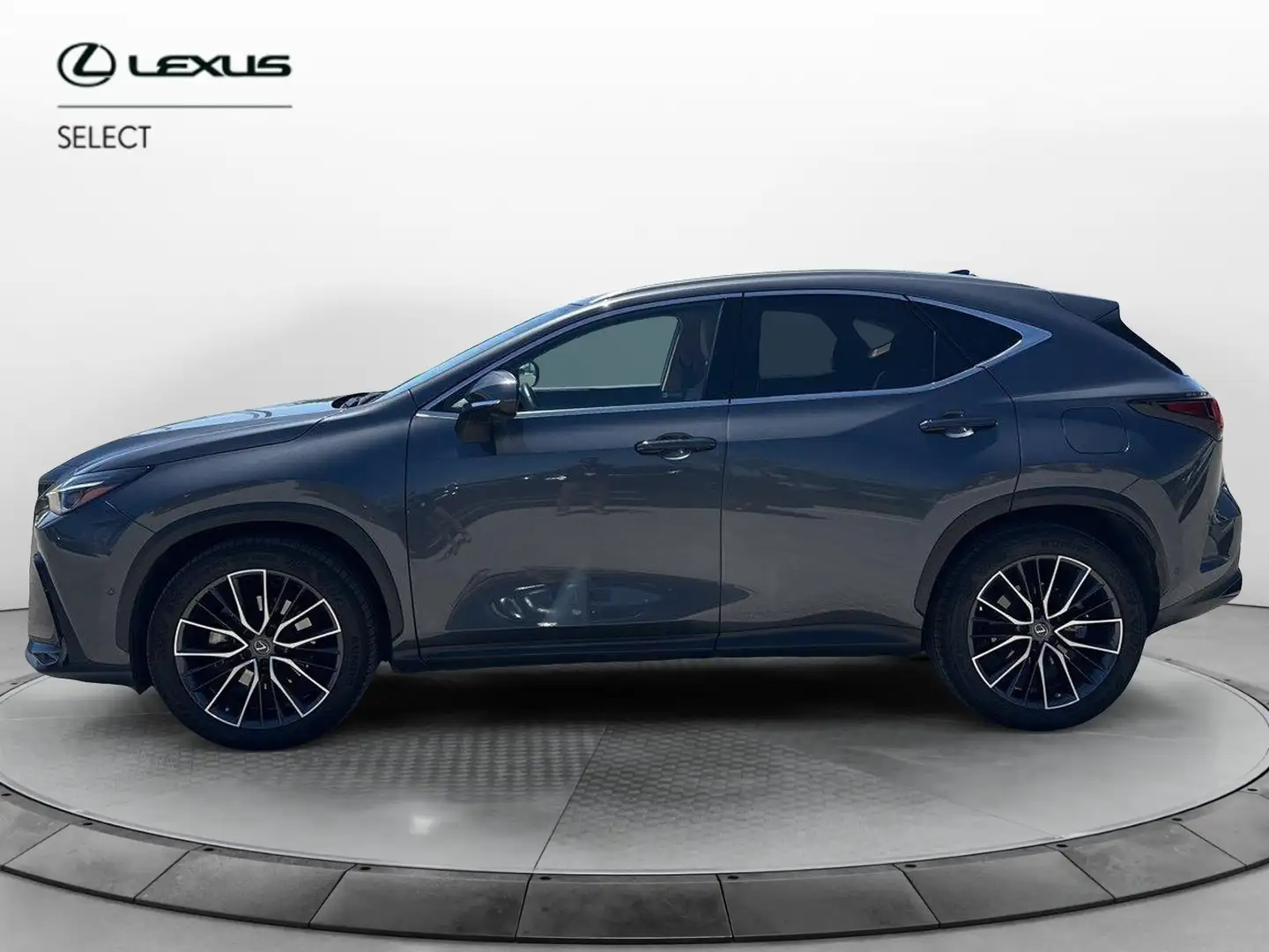 Lexus NX 300 NX Hybrid 4WD Luxury Grigio - 2