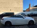 Mercedes-Benz E 220 d AMG Line, Designo, Keyles,CabComf. Paket Blanco - thumbnail 13