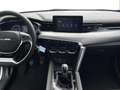 BAIC Beijing X35 X35 - Carplay*LED 3J. Garantie Weiß - thumbnail 10