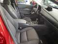 Mazda CX-30 2.0 Selection AUTOMATIK LED, SHZ, Head-up, Navi Rot - thumbnail 5