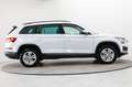 Skoda Kodiaq 1.5 TSI DSG SHZ Kam. AHK ACC Virtual Weiß - thumbnail 7