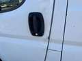 Fiat Ducato 35 120CV MAXI DOPPIA CABINA White - thumbnail 5