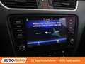 Skoda Octavia 1.6 TDI Style Limited 4x4 Schwarz - thumbnail 24