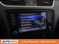 Skoda Octavia 1.6 TDI Style Limited 4x4 Schwarz - thumbnail 27