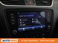 Skoda Octavia 1.6 TDI Style Limited 4x4 Schwarz - thumbnail 23