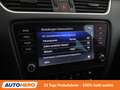 Skoda Octavia 1.6 TDI Style Limited 4x4 Schwarz - thumbnail 25