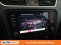 Skoda Octavia 1.6 TDI Style Limited 4x4 Schwarz - thumbnail 28