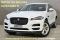 Jaguar F-Pace 2.0 D 180 CV AWD aut. Pure + IVA Bianco - thumbnail 1