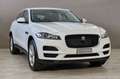 Jaguar F-Pace 2.0 D 180 CV AWD aut. Pure + IVA Bianco - thumbnail 4