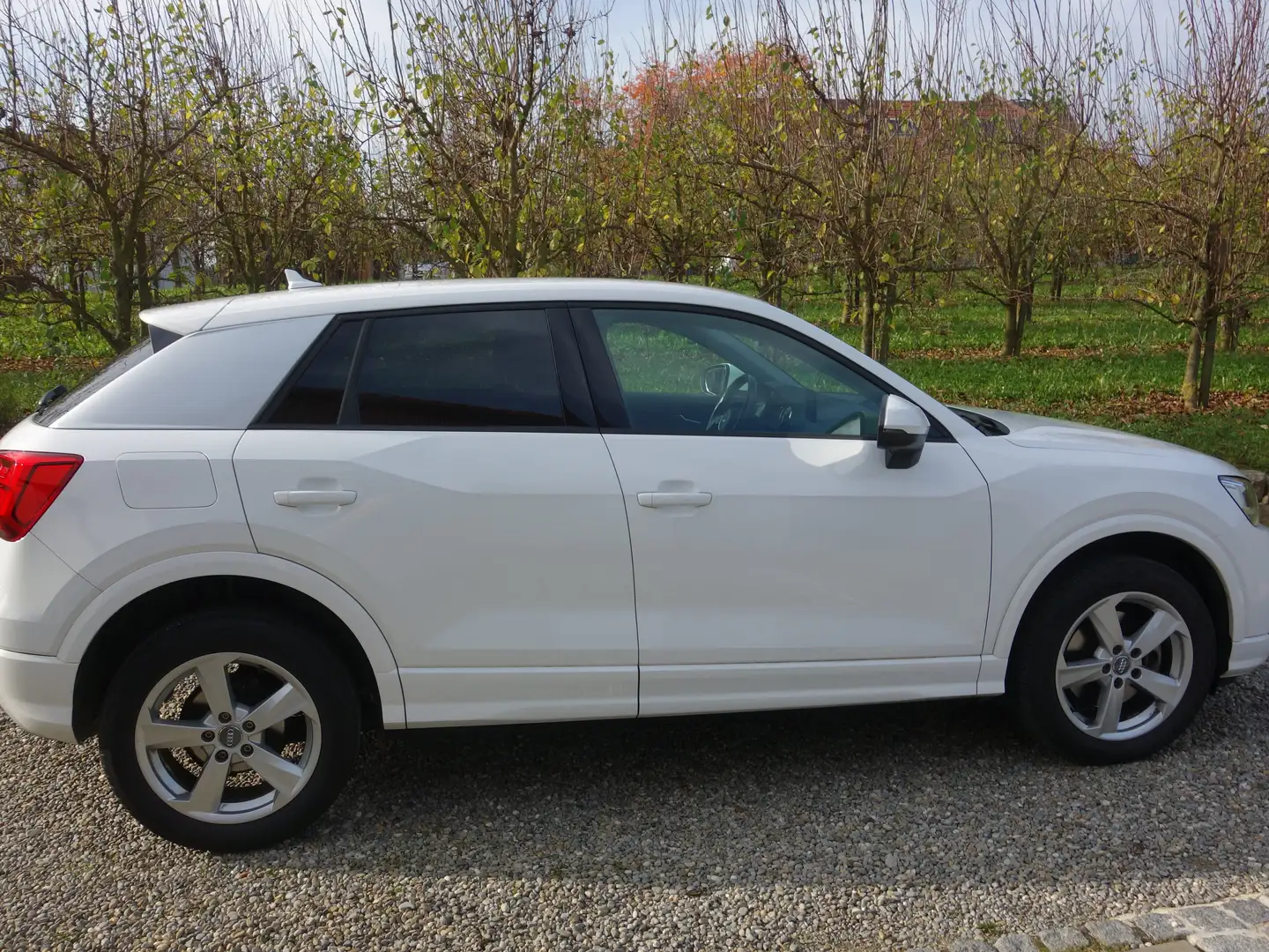 Audi Q2 Q2 1.4 TFSI cylinder on demand S tronic sport Weiß - 2