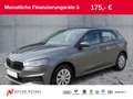 Skoda Fabia 1.0 MPI ACTIVE LED+APP+SHZ+PDC+MFA+BT Grau - thumbnail 1
