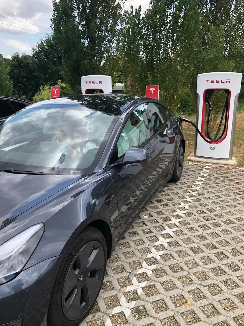 Tesla Model 3 Model 3 Long Range Dual Motor awd Grigio - 1