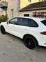 Porsche Cayenne Cayenne II Platinum Edition 3,6 Aut. Platinum Edition Weiß - thumbnail 5