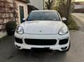 Porsche Cayenne Cayenne II Platinum Edition 3,6 Aut. Platinum Edition Weiß - thumbnail 1