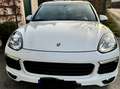 Porsche Cayenne Cayenne II Platinum Edition 3,6 Aut. Platinum Edition Weiß - thumbnail 4