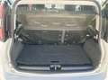Fiat Panda 4x4 Cross Climbing in sublieme staat ! Wit - thumbnail 19