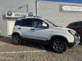 Fiat Panda 4x4 Cross Climbing in sublieme staat ! Wit - thumbnail 9
