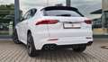 Maserati Grecale GT MY2024 - DEMOABVERKAUF Blanco - thumbnail 5